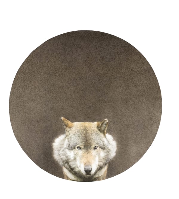 Marzio Tamer Wolf, 2021 Dry brush watercolour on paper, stretched on canvas. 44.09 x 44.09ins (112 x 112cm)