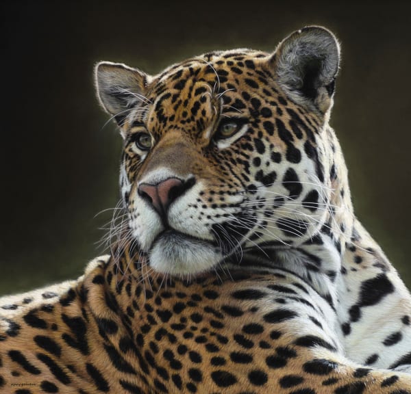 Gary Stinton Jaguar at Ease, 2021 Pastel on museum board 17 x 18 ins (43.2 x 45.7cms) (artwork size) 24 x 23 ins (61 x 58.3 cm) (framed size) Signed bottom left