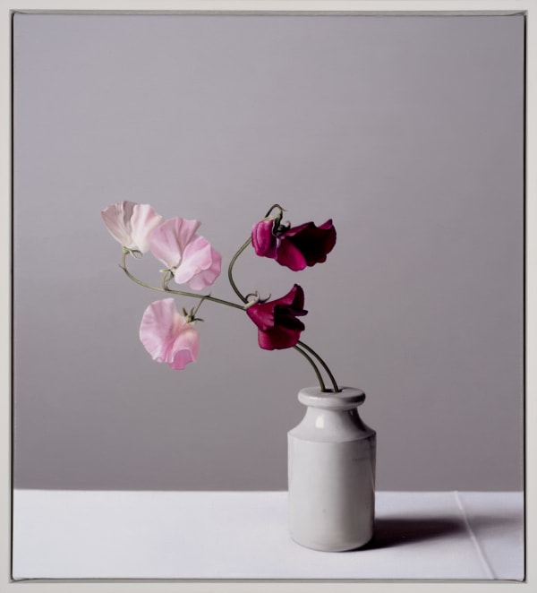 Jo Barrett Still Life with Sweet Peas and Stoneware Bottle - From the Fern Verrow Collection, 2021 Oil on canvas 23.62 x 21.26ins (60 x 54cm) (artwork size) 25 x 22.44ins (63.5 x 57cm) (framed size) Signed and dated on verso