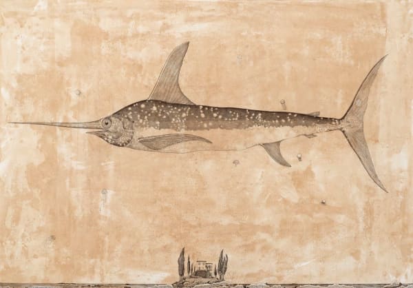 Andrea Collesano, XIPHIAS GLADIUS (swordfish), 2025