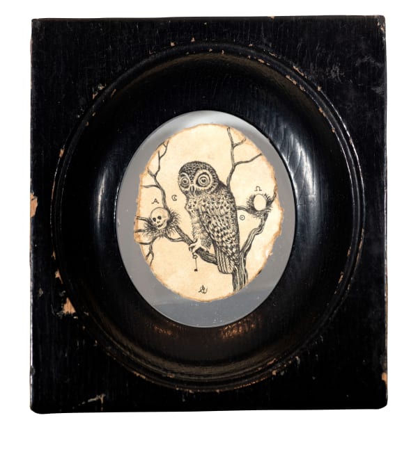 Andrea Collesano, MEMENTO MORI ( HOWL ) , 2022