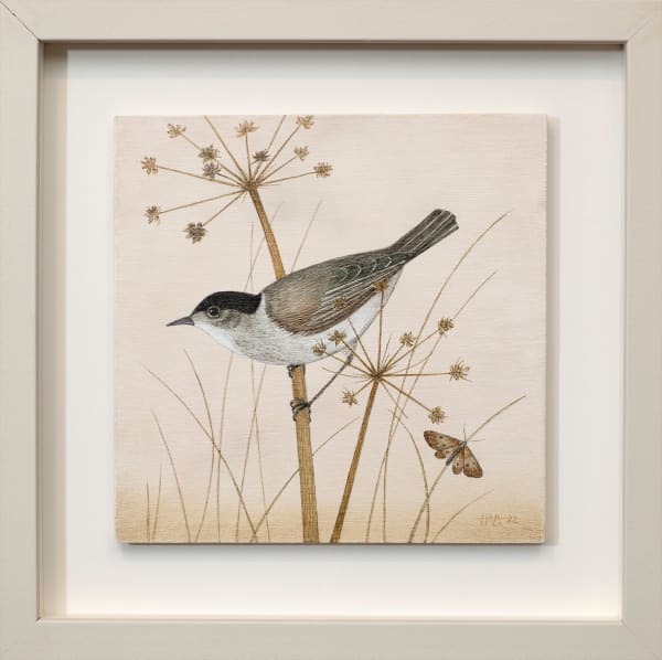 Harriet Bane, Blackcap, 2022