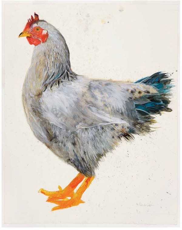 Roland Corbin, Delaware Cockerel