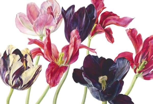 Rosie Sanders, A Sweet Disorder