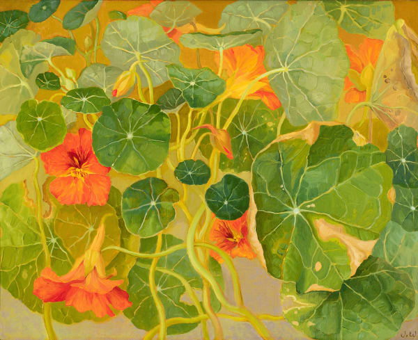 Jane Wormell, Nasturtiums