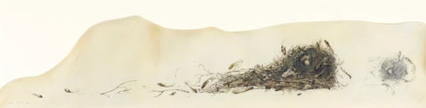 Kate Nessler, Nest with Maple seeds