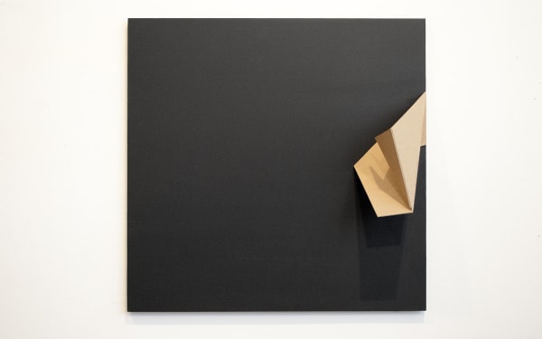 Joseph La Piana, Subfractal Relief VII, 2014