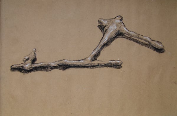 Joseph La Piana, Photonastic Drawing VI, 2013