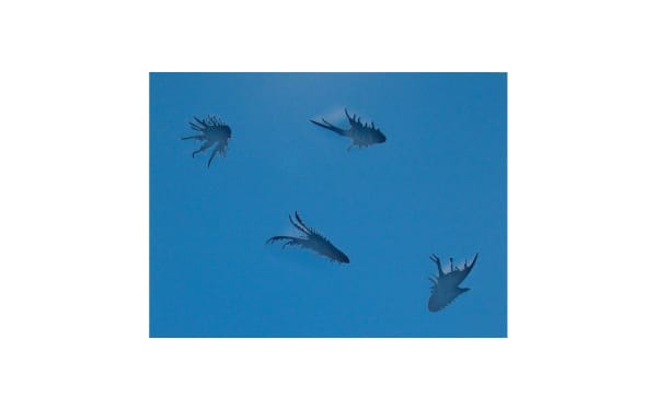 Joseph La Piana, Blue Spatial Construction, 2009