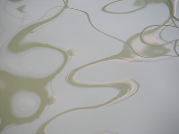 Joseph La Piana, Untitled (SHM/598), 2006