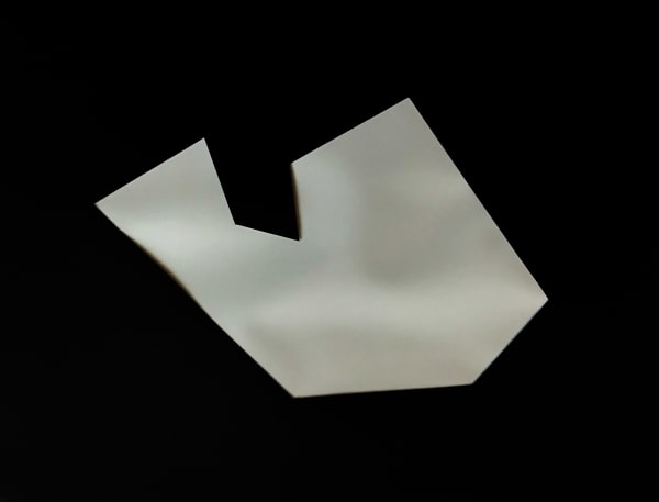 Joseph La Piana, Subfractal Fragment Cutout 004, 2019