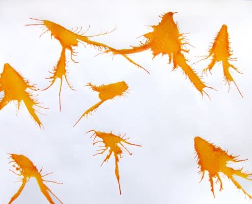 Joseph La Piana, Untitled XXV, 2004