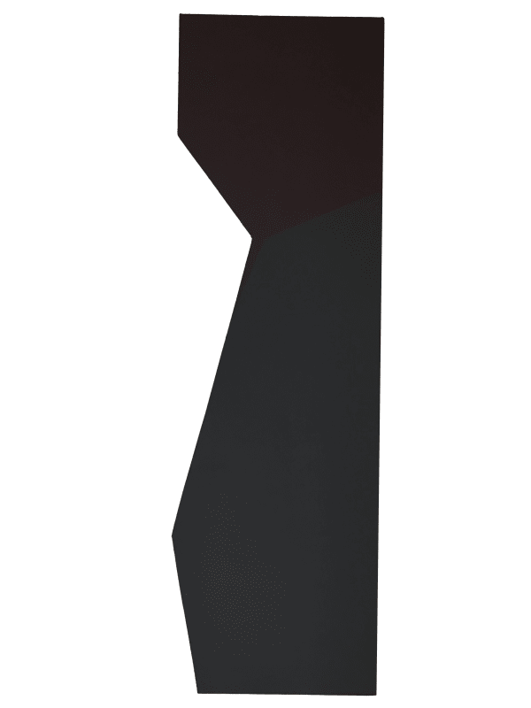 Subfractal Relief Space Paintings