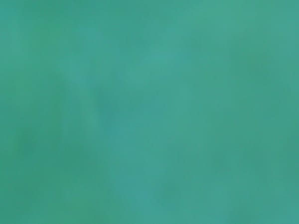 Joseph La Piana, Untitled (FPA/81), 2002