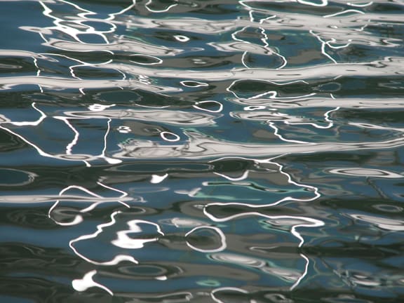 Joseph La Piana, Settlers Landing (SL/798), 2003