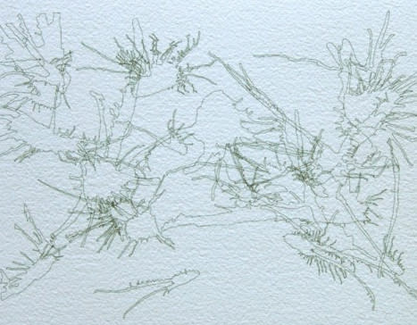 Joseph La Piana, Untitled XXVII, 2008