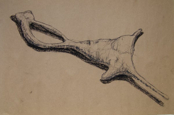 Joseph La Piana, Photonastic Drawing XII, 2013