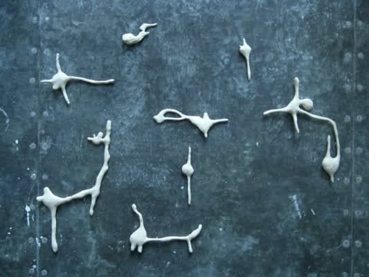 Joseph La Piana, Animal Kingdom Study Installation, 2008