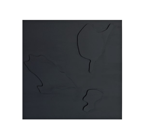 Photonastic Spatial Constructions