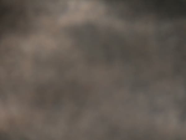 Joseph La Piana, MIES I (MIES/1030), 2004