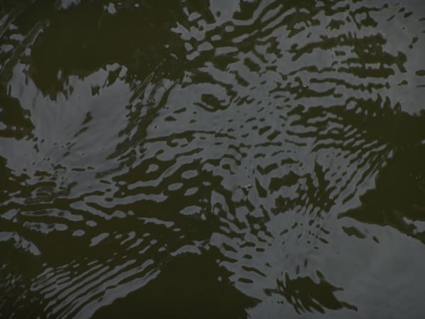 Joseph La Piana, Sag Harbor Abstracts (SHA/599), 2006