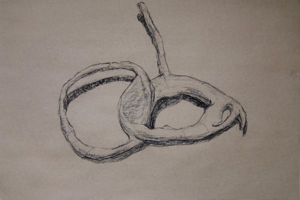 Joseph La Piana, Photonastic Drawing II, 2013