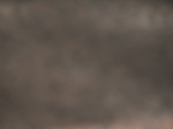 Joseph La Piana, MIES III (MIES/ 1036), 2004