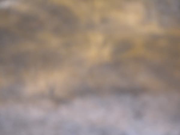 Joseph La Piana, MIES IV (MIES/1037), 2004