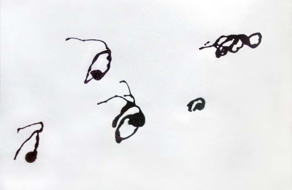 Joseph La Piana, Quintuplets, 2004