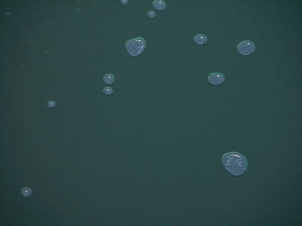 Joseph La Piana, Air (SHM/411), 2003