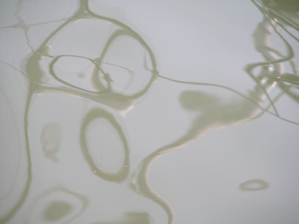 Joseph La Piana, Untitled (SHM/599), 2002