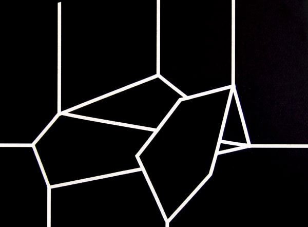 Joseph La Piana, Subfractal Drawing IV.I, 2013