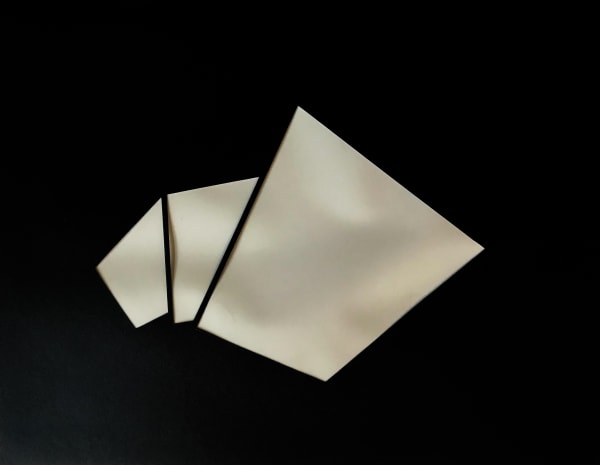 Joseph La Piana, Subfractal Fragment Cutout 009.1, 2019