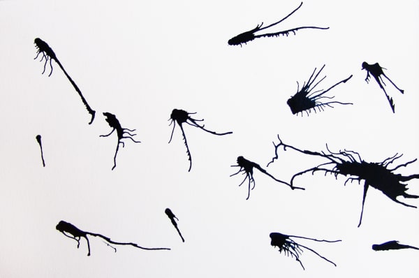 Joseph La Piana Blow Study 1B, 2008 Ink and shellac on cold press watercolor paper works on paper 10" x 15"