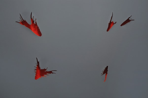 Joseph La Piana, Untitled Grey and Red Spatial Construction, 2009