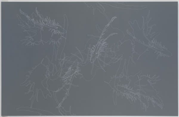 Joseph La Piana, Trace, 2007