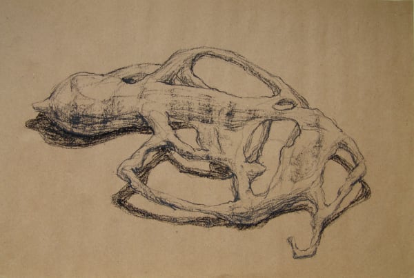 Joseph La Piana, Photonastic Drawing XV, 2013