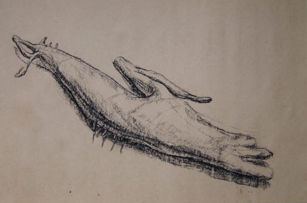 Joseph La Piana, Photonastic Drawing I, 2013