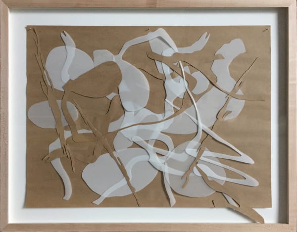 Joseph La Piana Photonastic Collage VII Framed, 2017 Mylar, craft and construction paper 18" x 24" framed 28 1/2 by 23