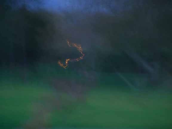 Joseph La Piana, Deer at Dusk I (DAD/584), 2005