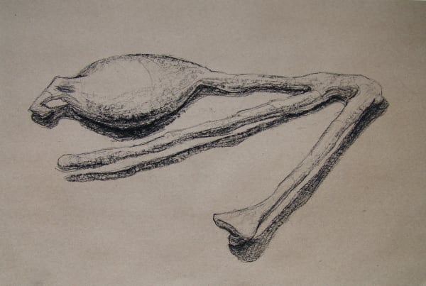 Joseph La Piana, Photonastic Drawing XX, 2013