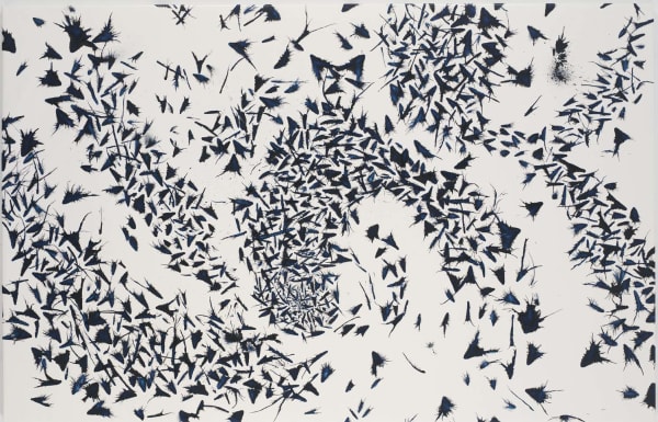 Joseph La Piana, Typhoon Babs, 2007