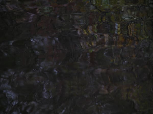 Joseph La Piana, Settlers Landing (SL/779), 2003