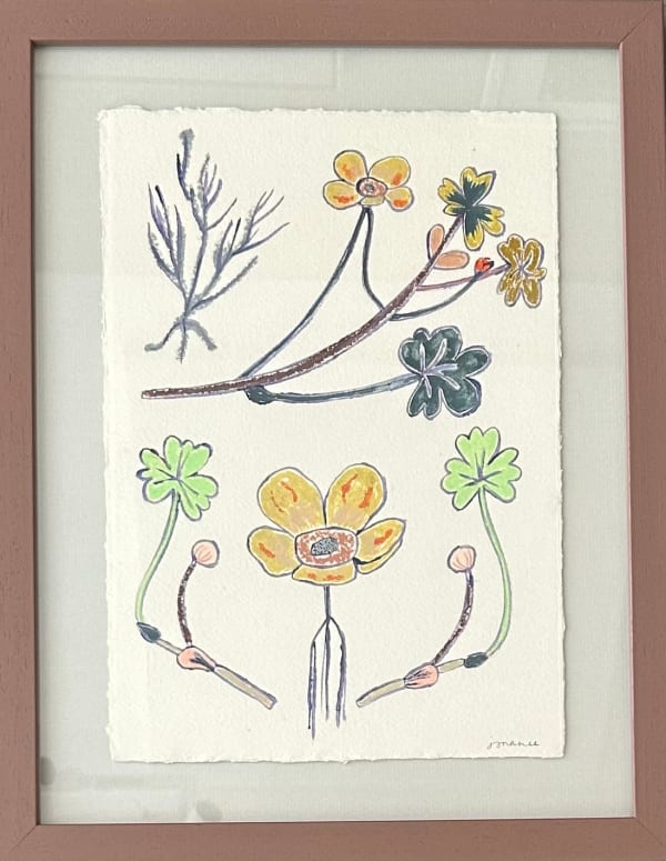 Jo Rance, Orchestra of Florals VII