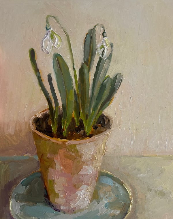Nicola Stratton Tyler, Snowdrop 'Diggory'