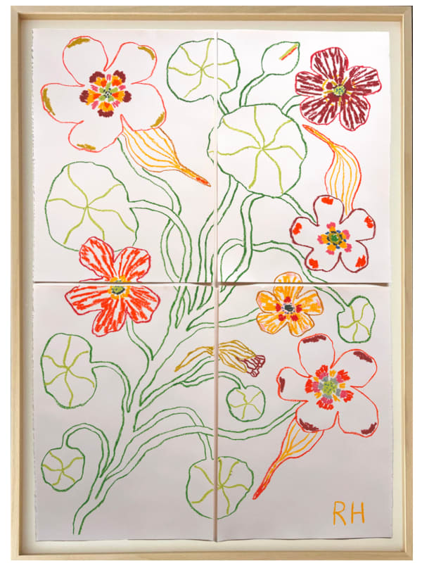 Rosie Harbottle, Nasturtiums