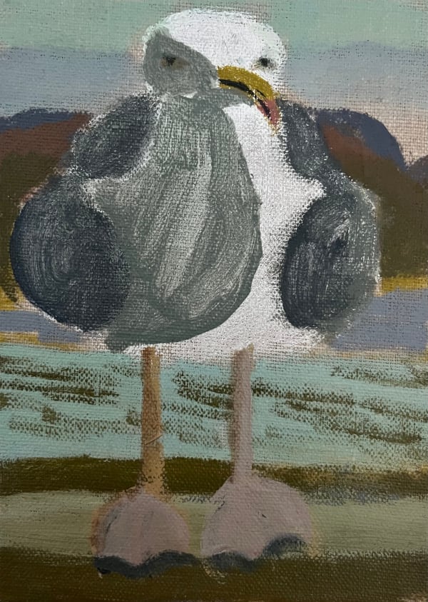 Zoe Savory Seagull Acrylic on linen 18 x 13 cms