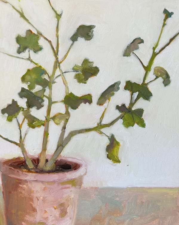 Nicola Stratton Tyler, Pelargonium and Terracotta