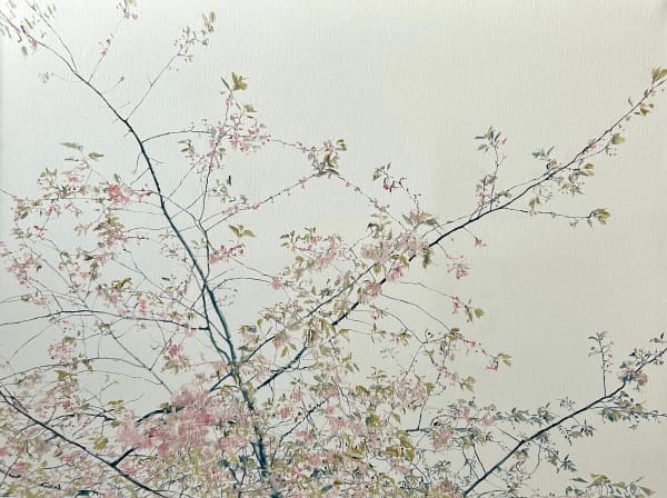 Melanie Goemans, An Important Event