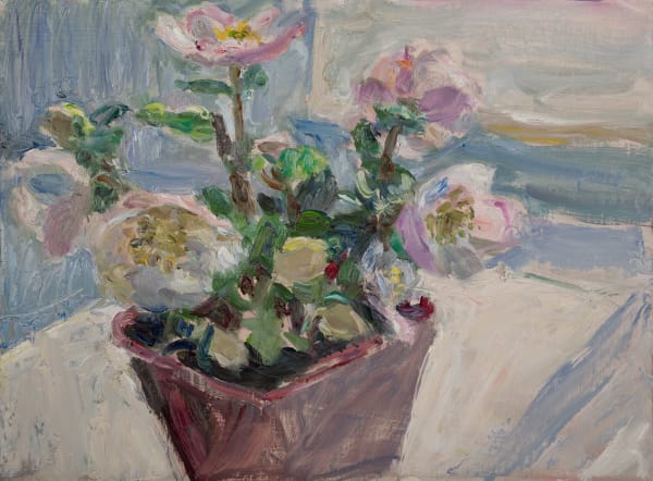 Lynne Cartlidge, Hellebore